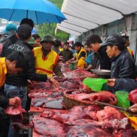 Tin tức trong ngày - 4 triệu đồng/kg thịt "ngưu vương" hội chọi trâu