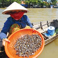 Ẩm thực - Về hồ Sông Ray ăn hến