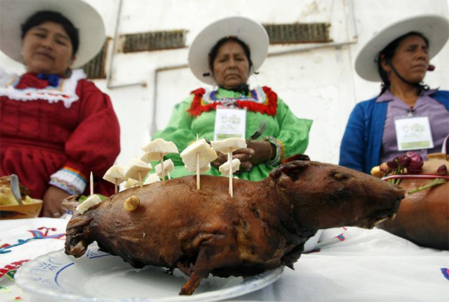 Một chú chuột bạch được nướng vàng khi tham gia một lễ hội ở Lima
