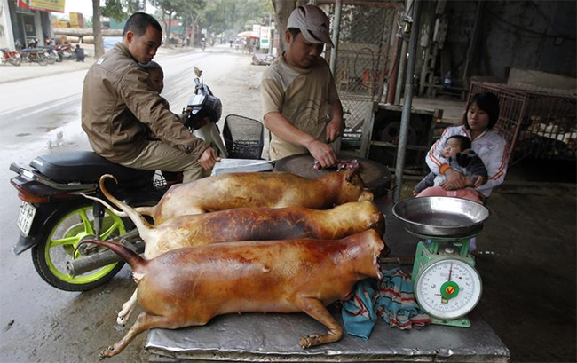 Người đàn ông Thái Lan này chuẩn bị ăn hai con thằn lằn sống

