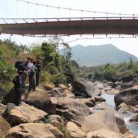 Tin tức trong ngày - Tất cả ban ngành ở Lai Châu vào cuộc vụ lật cầu