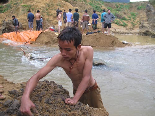 Dân xới tung lòng suối để mót gỗ sưa tiền tỷ - 1