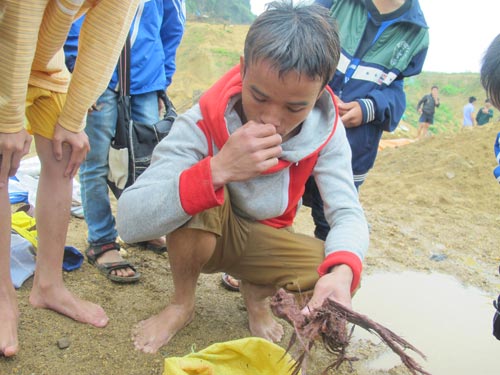 Dân xới tung lòng suối để mót gỗ sưa tiền tỷ - 4