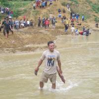 Tin tức trong ngày - Dân xới tung lòng suối để mót gỗ sưa tiền tỷ