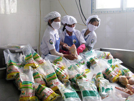 Lối thoát cho gia cầm sạch trong mùa dịch - 1