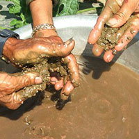 Thị trường - Tiêu dùng - Tạm giữ hơn 1,2 tấn phân bón NPK giả