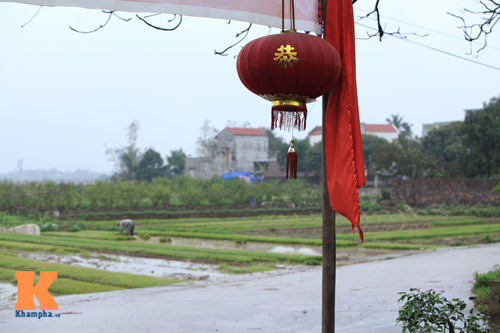 Đèn lồng "lạ" vẫn "đỏ phố, đỏ làng" ở Hà Nội - 6