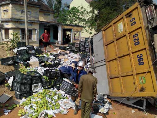 Lật xe, dân giúp thu gom hàng chục tấn trái cây - 1