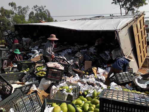 Lật xe, dân giúp thu gom hàng chục tấn trái cây - 2