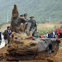 Tin tức trong ngày - Vì sao người TQ "phát cuồng" với gỗ sưa?