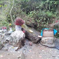 Tin tức trong ngày - Tin lời đồn, dân đổ xô lên “cổng trời” cúng bái