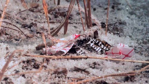 Khoảnh khắc kỳ lạ trong lịch sử chiến tranh TG - 7