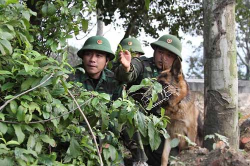 Ảnh: Theo chân chiến sĩ biên phòng đi tuần tra - 11