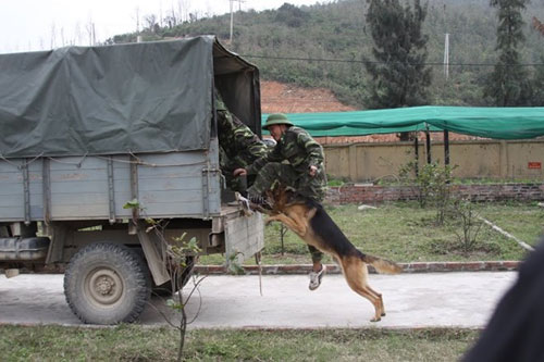 Ảnh: Theo chân chiến sĩ biên phòng đi tuần tra - 3