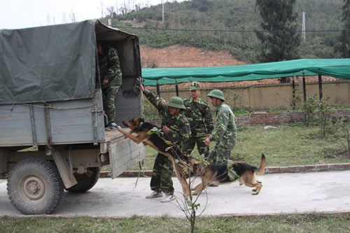 Ảnh: Theo chân chiến sĩ biên phòng đi tuần tra - 4