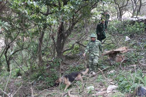 Ảnh: Theo chân chiến sĩ biên phòng đi tuần tra - 5