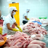 Thị trường - Tiêu dùng - Cá tra Việt Nam sẽ trở lại thị trường Nga