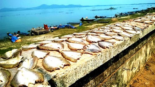 Đến với Tây Ninh mùa nắng cháy - 2