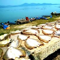 Du lịch - Đến với Tây Ninh mùa nắng cháy