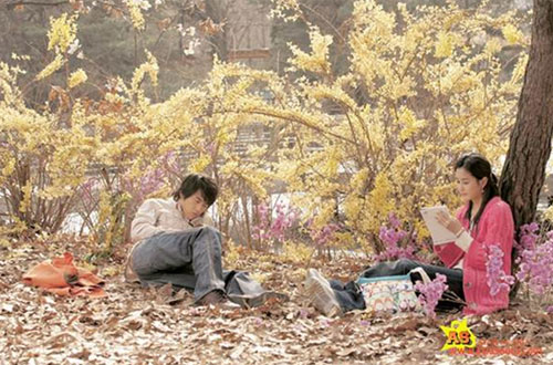 Bông hồng xanh: Bản tình ca đầy sóng gió - 2