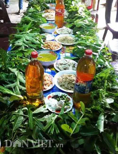 Tây Nguyên nõn nà trong gỏi lá Kon Tum - 2