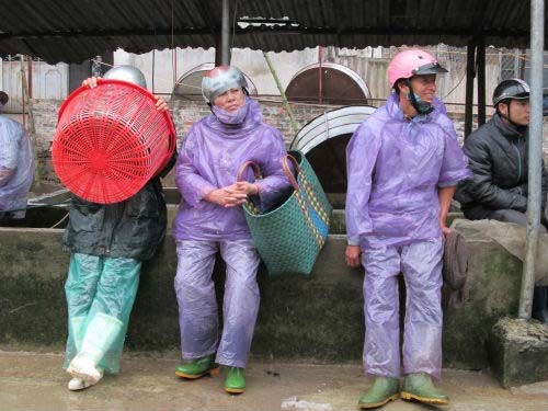 Bên trong chợ cá lớn nhất Hà Thành - 12