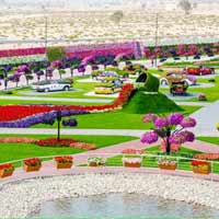 Du lịch - Sững sờ vẻ đẹp của vườn hoa lớn nhất thế giới
