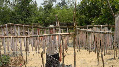 Ngư dân trúng đậm, phơi cá khô trắng làng - 10