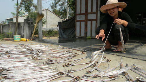 Ngư dân trúng đậm, phơi cá khô trắng làng - 2