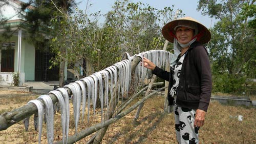 Ngư dân trúng đậm, phơi cá khô trắng làng - 3