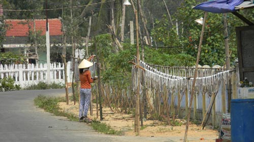 Ngư dân trúng đậm, phơi cá khô trắng làng - 7