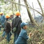 Tin tức trong ngày - Thủ tướng: Xử lý nghiêm hành vi để xảy ra cháy rừng