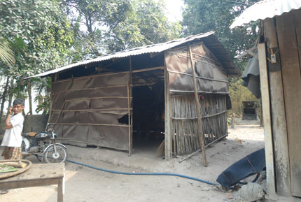 Người đàn bà hai mươi năm ngủ ngồi dưới… gốc tre - 2