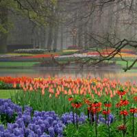 Du lịch - Top 10 điểm đến không thể bỏ qua tại Hà Lan