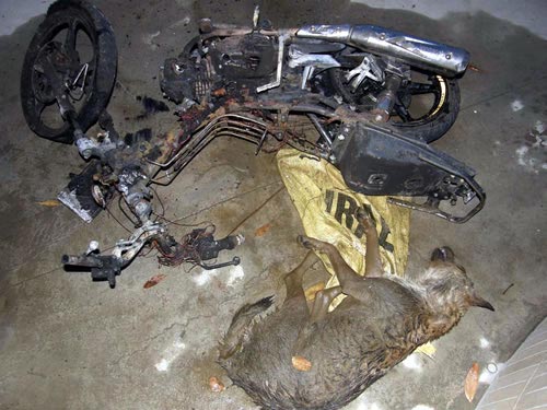 Vì sao “cẩu tặc” lộng hành? - 2