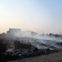 Tin tức trong ngày - Cháy bãi đất 10 nghìn m2 nằm gần nhiều công ty