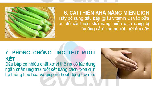 Vừa ngon vừa bổ như đậu bắp - 4