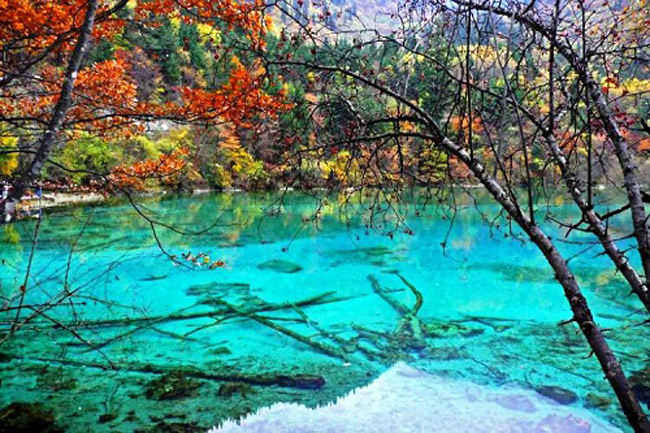 Phải kể đến đầu tiên trong danh sách này chính là hồ Ngũ Hoa Hải hay còn gọi là Five Flower-Lake ở Trung Quốc, được phong là hồ nước đẹp nhất thế giới. Đây chính là niềm tự hào lớn của công viên quốc gia-khu thắng cảnh Cửu Trại Câu, miền Bắc Tứ Xuyên, Trung Quốc
