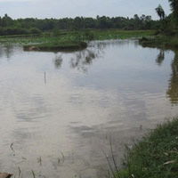 Tin tức trong ngày - Hai cháu bé chết đuối khi gửi hàng xóm