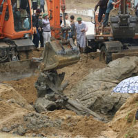 Tin tức trong ngày - Người phát hiện gốc sưa khổng lồ sẽ “trắng tay”?