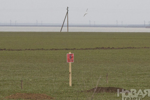 Ukraine: "Dân Crimea sẽ khốn khổ nếu về với Nga" - 4