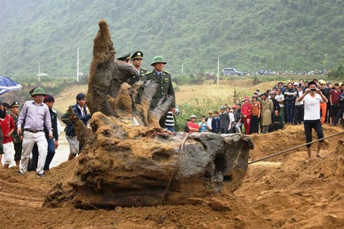 Vụ gốc sưa “khủng”: Lo bị đòi tiền “bán” công phát hiện - 2