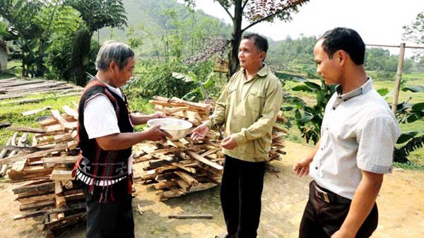 Việt kiều trong rừng thẳm - 2