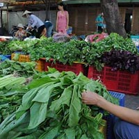 Sức khỏe đời sống - Công dụng tuyệt vời từ cải bó xôi