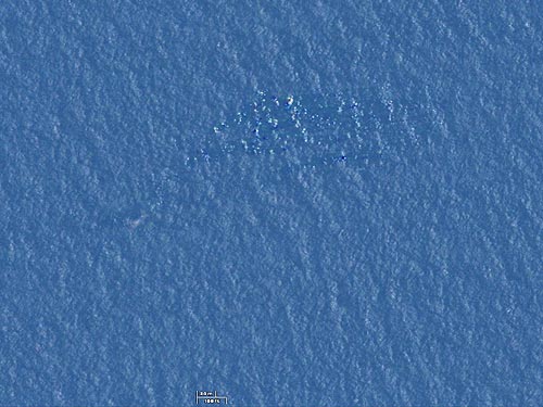 Vụ MH370: Nhiều mảnh vỡ trôi nổi ở biển Malacca - 2