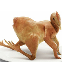 Tuyển tập thơ vui về 