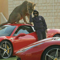 Ô tô - Xe máy - Người đàn ông sở hữu nhiều siêu xe và sư tử