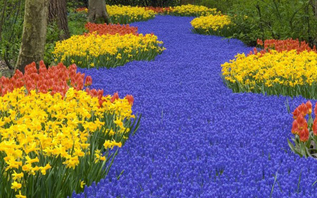 Đây là vườn hoa lớn nhất thế giới và là một trong những điểm du lịch hấp dẫn nhất tại Hà Lan. 
