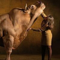 Phi thường - kỳ quặc - Những động vật "quái chiêu" đáng yêu nhất thế giới