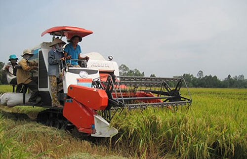 Thái Lan bán tháo gạo: "Phán" để tư lợi? - 1